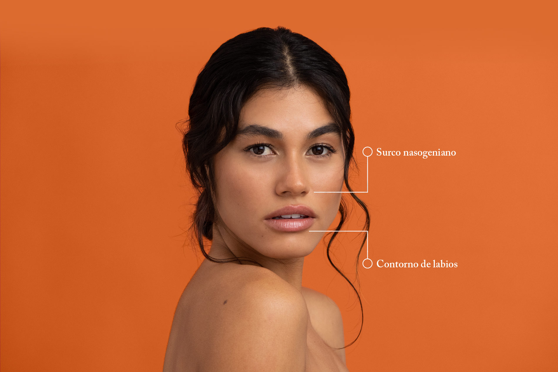 MODELHA CONTOUR